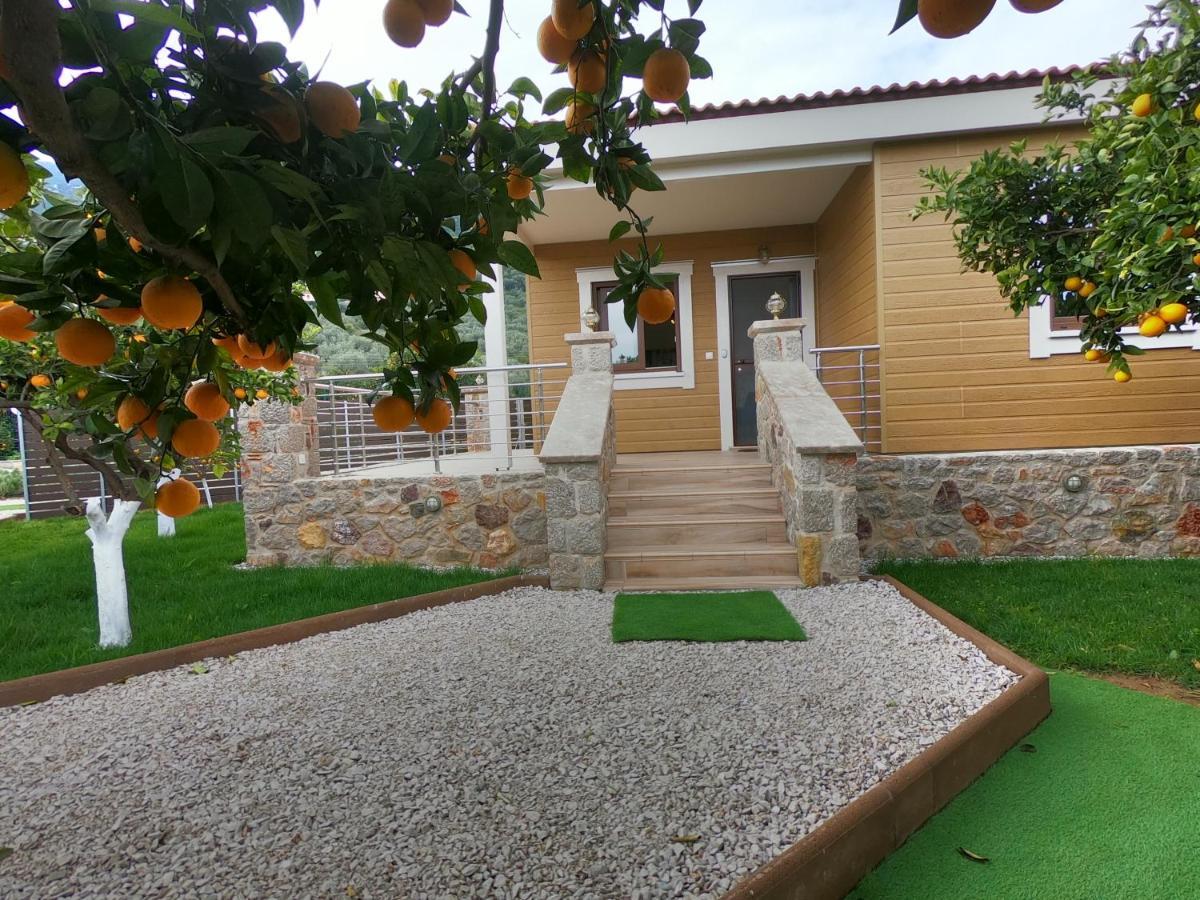 Desa Green Homes Epidaurus Esterno foto